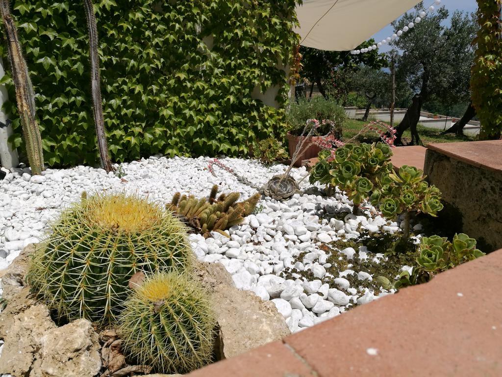 Villa Rosaria Vasto Buitenkant foto