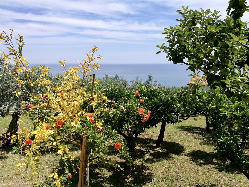 Villa Rosaria Vasto Buitenkant foto